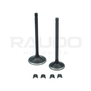 VALVULA ADM/ESC C/SEGURO CG300