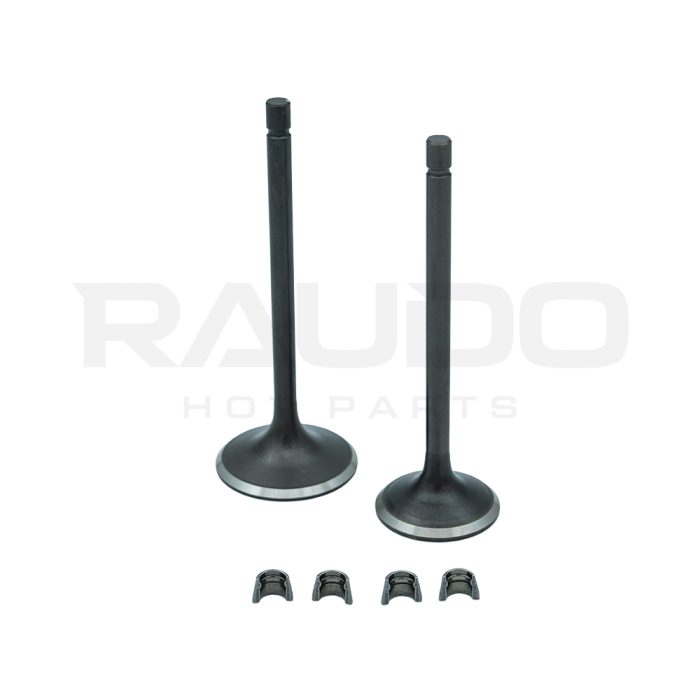 VALVULA ADM/ESC C/SEGURO CG300