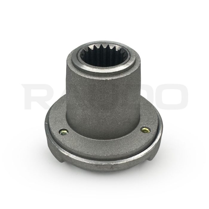 R1105003_A