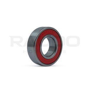 RODAJE 6205 - RAUDO