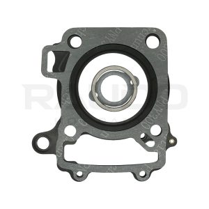 EMPAQUE CABEZAL NS200 - RAUDO