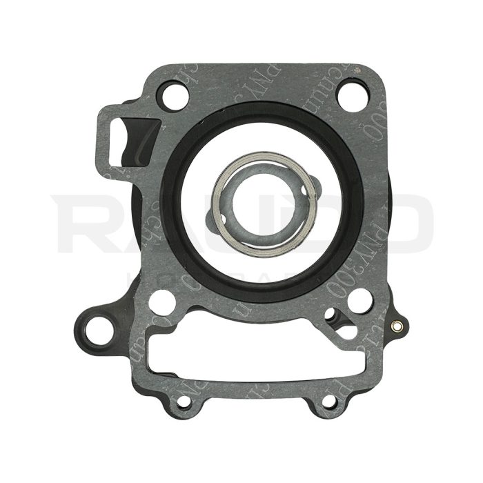 EMPAQUE CABEZAL NS200 - RAUDO