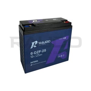 BATERIA 6-DZF-25 (12V25AH)