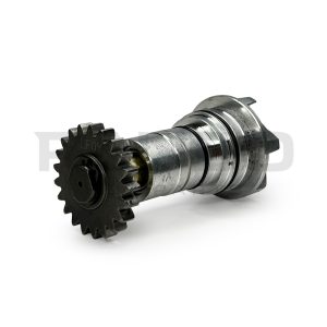 BOMBA DE AGUA CG250 21T