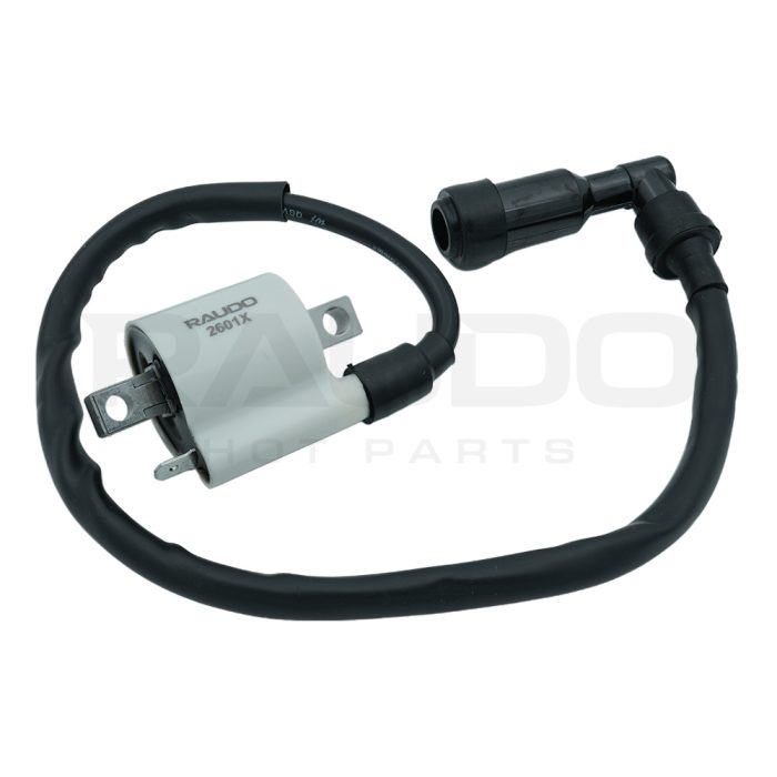 BOBINA DE ALTA DERECHO NS200