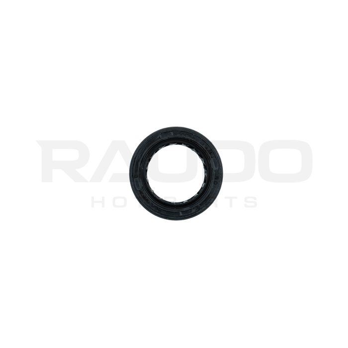 R2080066