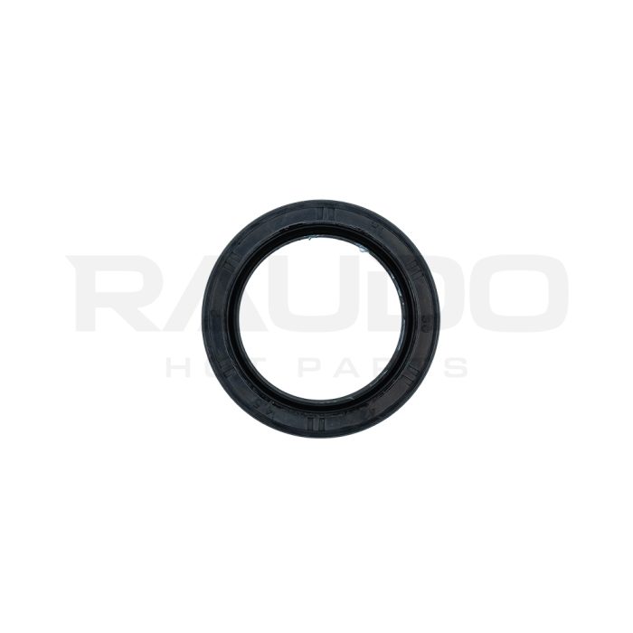 R2080069